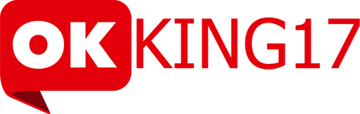 vnokking17.com Logo
